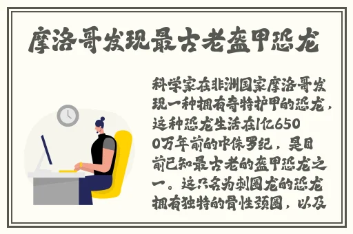 欧美尺码日本尺码专线